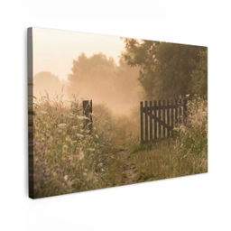 Hek - Natuur - Mist - Veld Tuinposter op houten frame 2 cm dik klein -3d