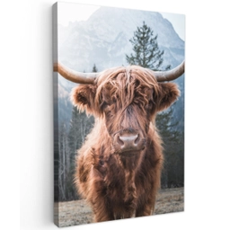 Imposante Hooglander in de Natuur Tuinposter op houten frame 2 cm dik klein -3d