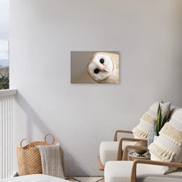 Uil - Bruin - Wit Tuinposter op houten frame 2 cm dik klein -sfeer1