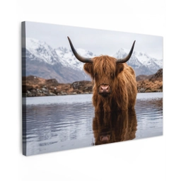 Schotse hooglander - Bruin - Water Tuinposter op houten frame 2 cm dik klein -3d