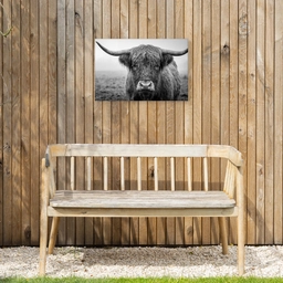 Schotse hooglander - Zwart - Wit - Gras Tuinposter op houten frame 2 cm dik klein -sfeer4
