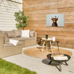 Schotse Hooglander - Bruin - Hoorns - Kokskleding Tuinposter op houten frame 2 cm dik klein -sfeer2