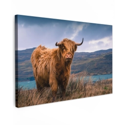 Schotse Hooglander - Berg - Water - Natuur - Koe Tuinposter op houten frame 2 cm dik klein -3d