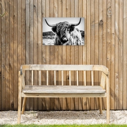 Schotse hooglander - Natuur - Koe - Zwart - Wit Tuinposter op houten frame 2 cm dik klein -sfeer4