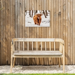 Schotse Hooglander - Sneeuw - Winter - Natuur - Dieren Tuinposter op houten frame 2 cm dik klein -sfeer4