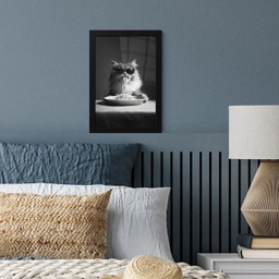 Langharige kat - Zonnebril - Spaghetti - Humor - Zwart - wit fotolijst zwart zonder passe partout klein -sfeer3