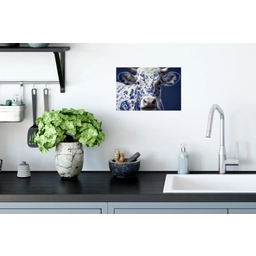 Koe - Delfts - Blauw - Artistiek Muursticker klein -keuken