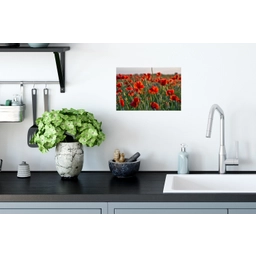 Bloemen - Klaprozen - Natuur - Rood Muursticker klein -keuken