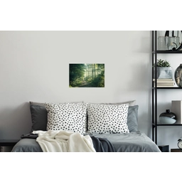 Bos - Pad - Zon - Bomen - Groen - Natuur Muursticker klein -slaapkamer