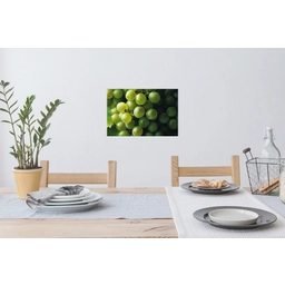 Druiven - Tros - Groen Muursticker klein -eettafel