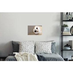 Uil - Bruin - Wit Muursticker klein -slaapkamer