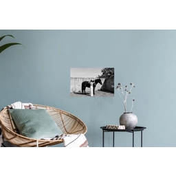 Vrouw - Paard - Artistiek Muursticker klein -plant