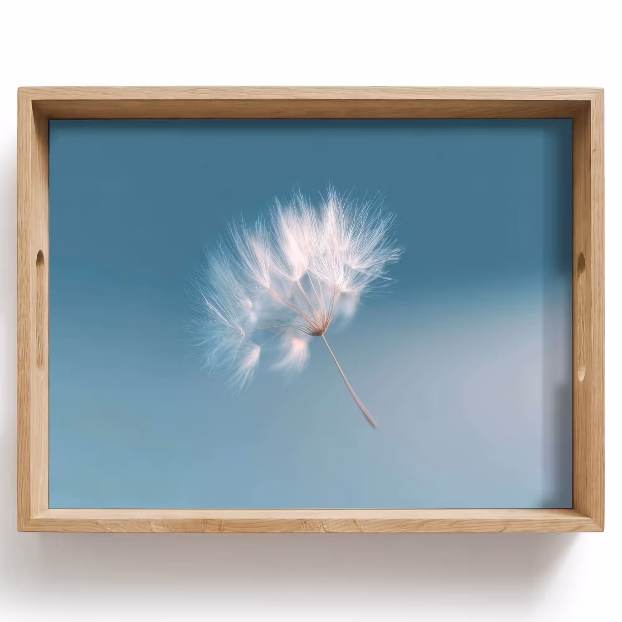 Tray - Dandelion Fluff - Blue - Air