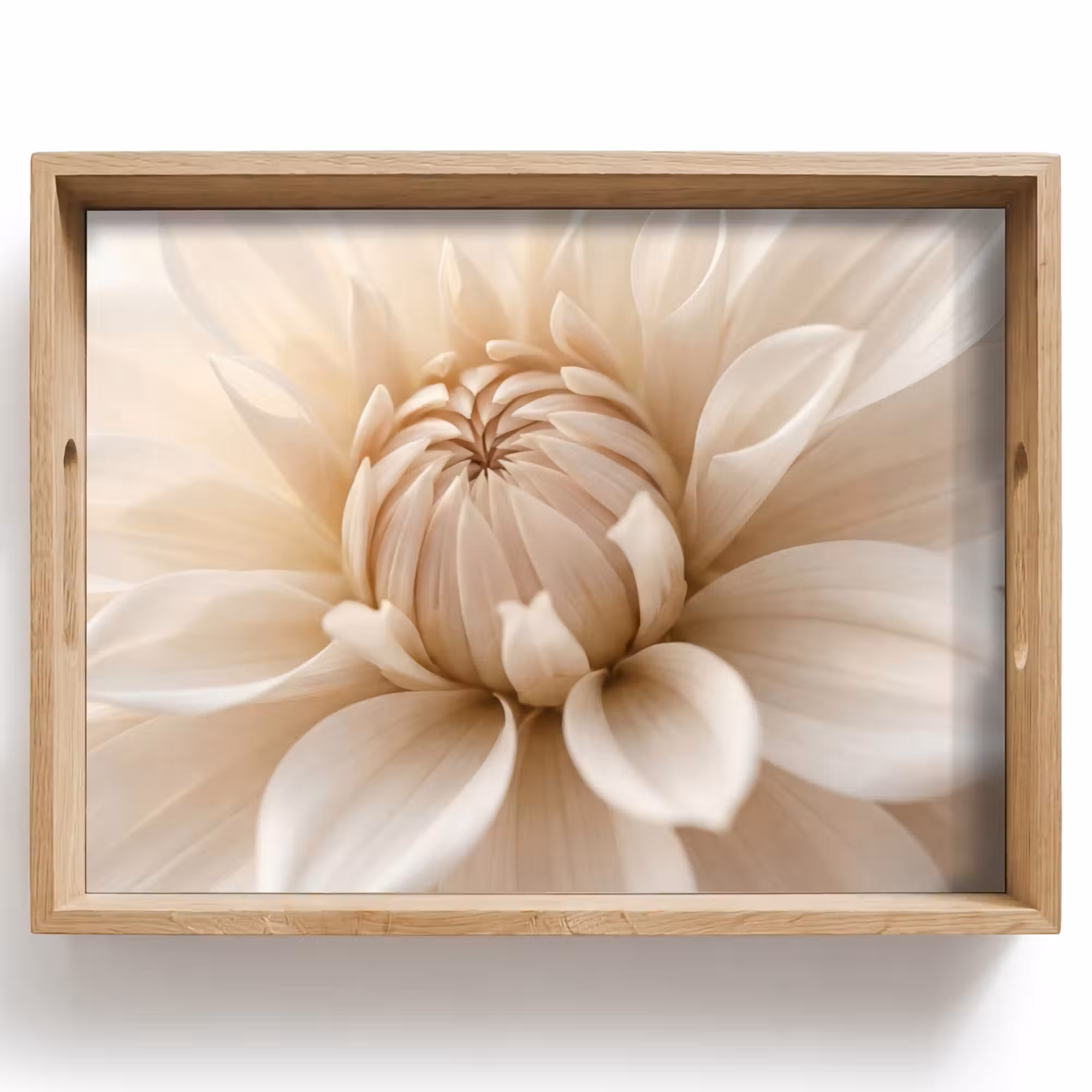 Tray - Flower - Dahlia - White