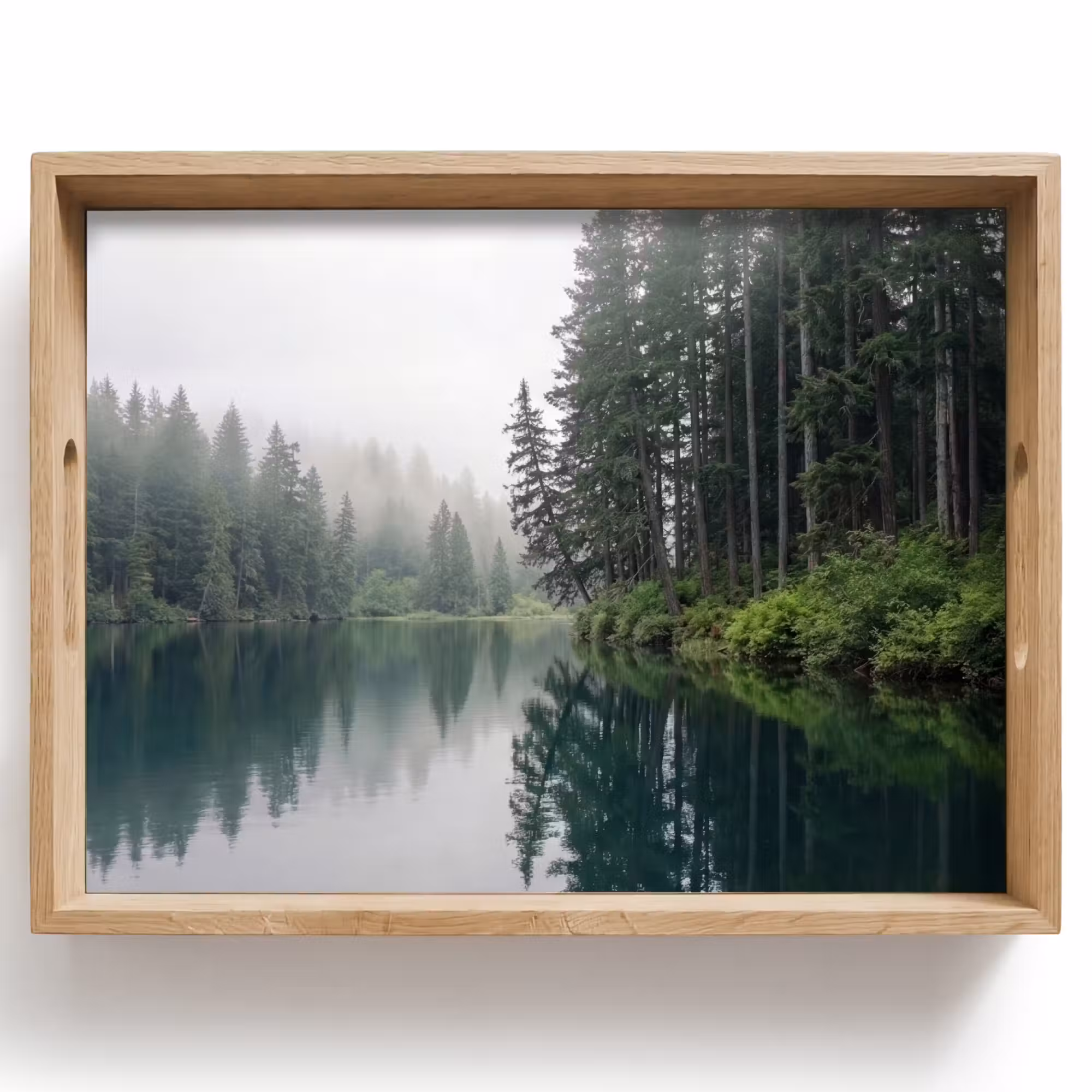 Tray - Mountains - Lake - Forest