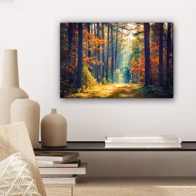 Canvas Print - Forest - Sun - Nature - Autumn — 5