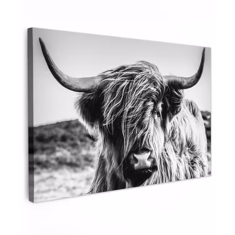 Canvas Print - Scottish Highlander - Close up - Horns - Coat - Black and White — 1
