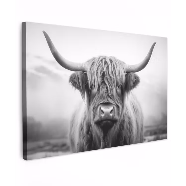 Canvas Print - Scottish highlander - Fog - Black - White — 1