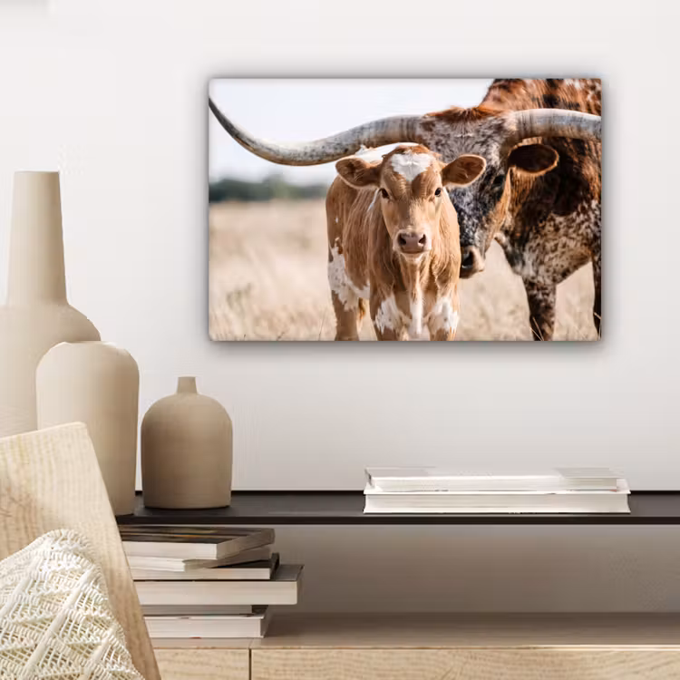 Canvas Print - Texas Longhorn - Calf - Pasture - Animals — 5