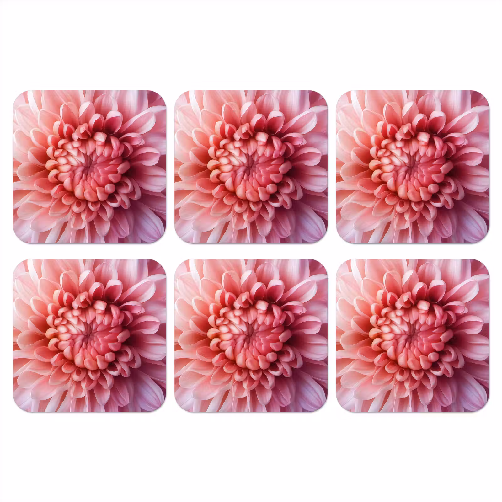 Coaster - Dahlia - Flower - Close up - Pink — 1