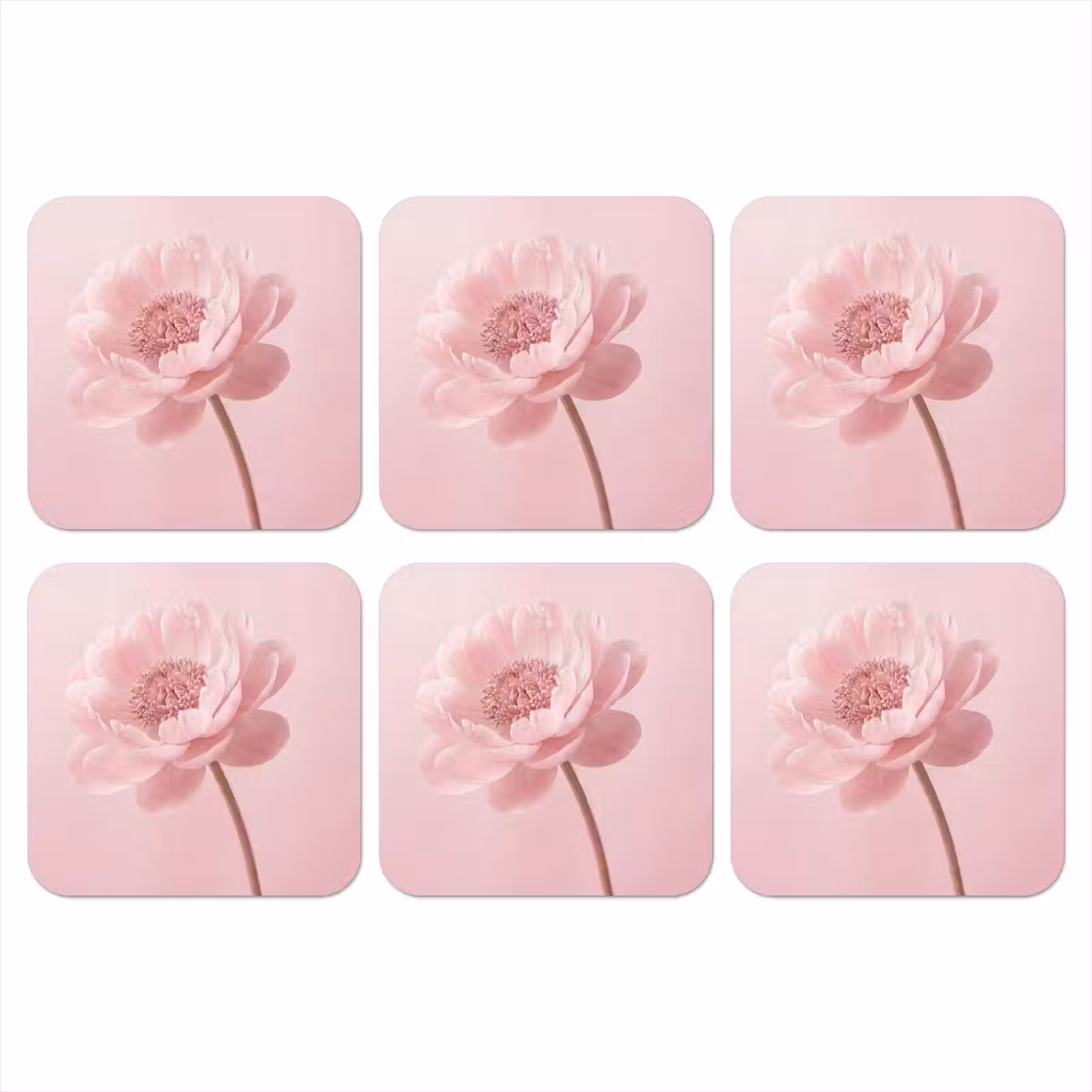 Coaster - Flower - Peony - Pink — 1