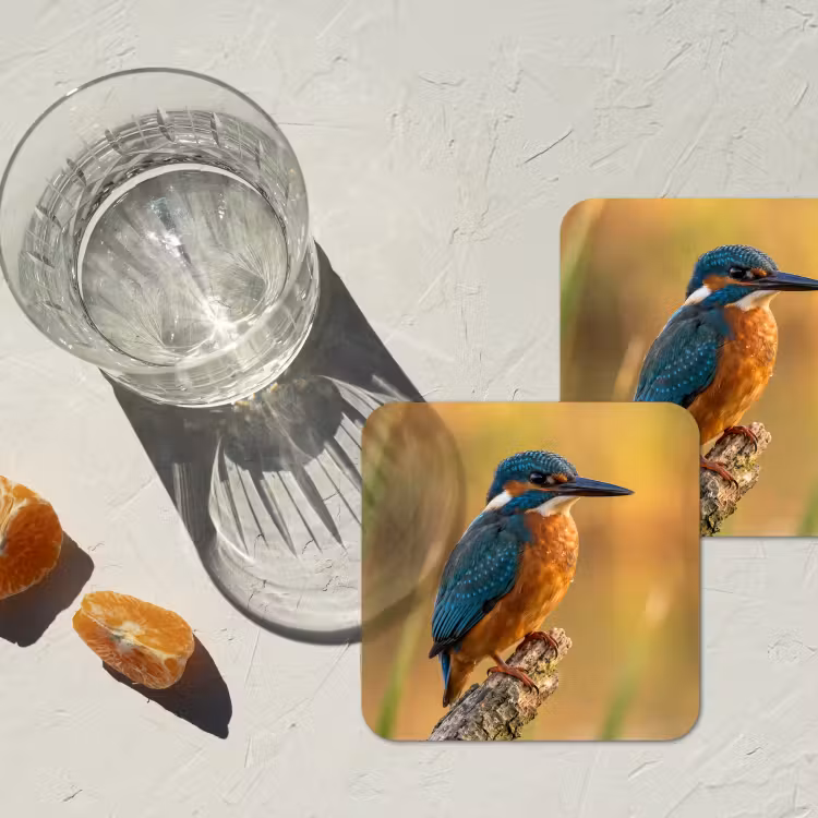 Coaster - Kingfisher - Branch - Water - Colorful - Vibrant — 2