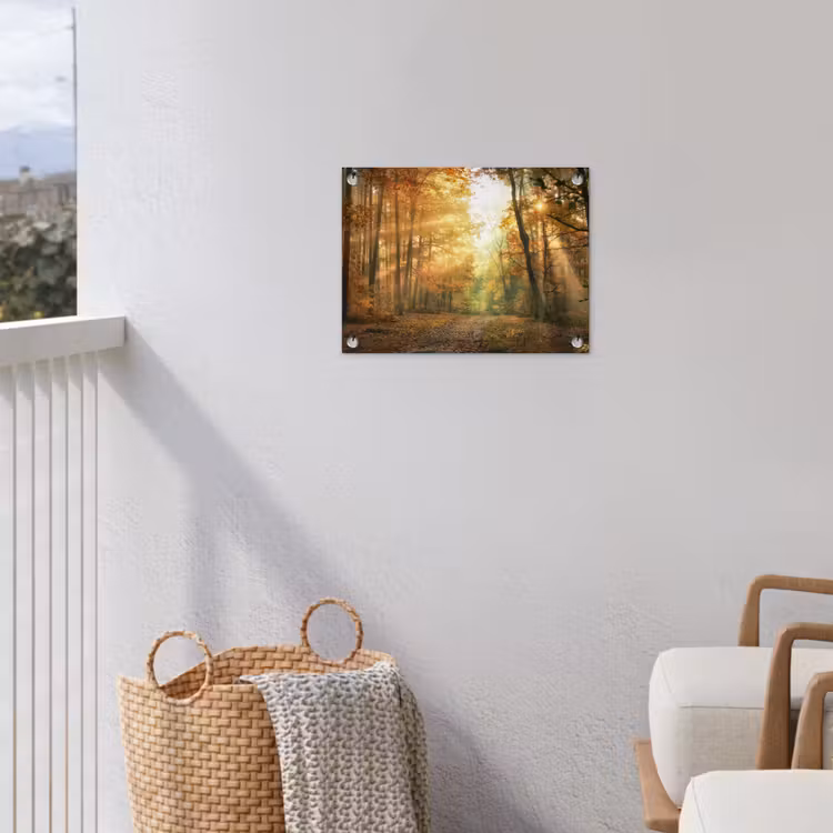Garden Poster - Autumn forest in golden sunlight — 3