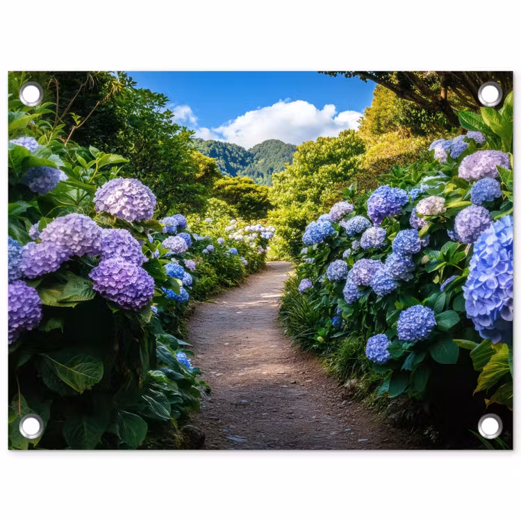 Garden Poster - Hortsensia - Toad - Flowers — 1