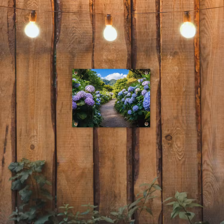 Garden Poster - Hortsensia - Toad - Flowers — 2