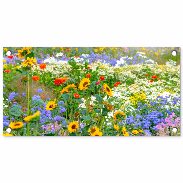 Garden Poster - Summer flowers in full bloom — 1