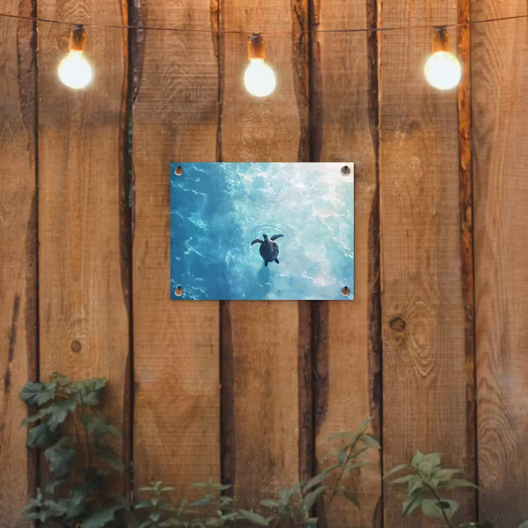 Garden Poster - Turtle - Sea - Blue - Glare — 2