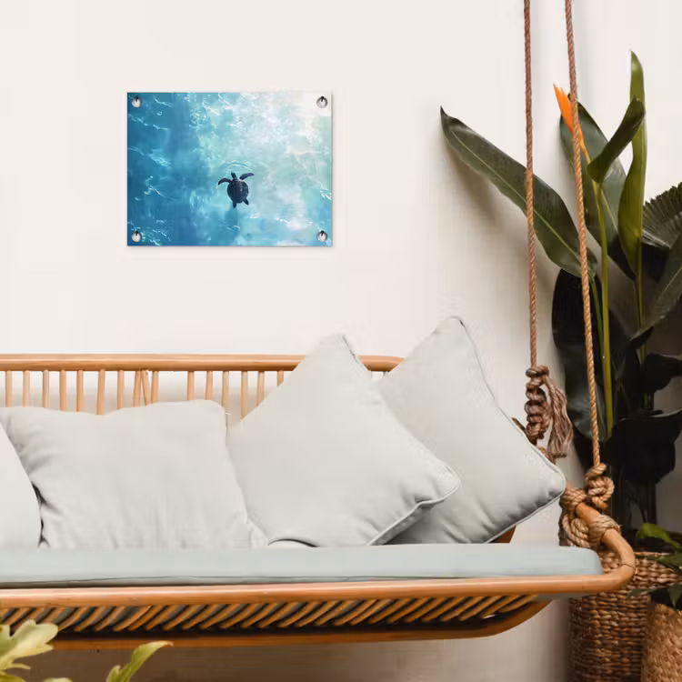 Garden Poster - Turtle - Sea - Blue - Glare — 5