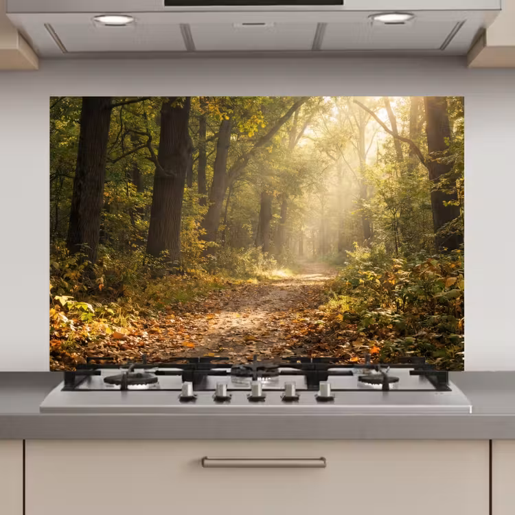 Kitchen Splashback - Sunlight - Forest path - Trees — 1