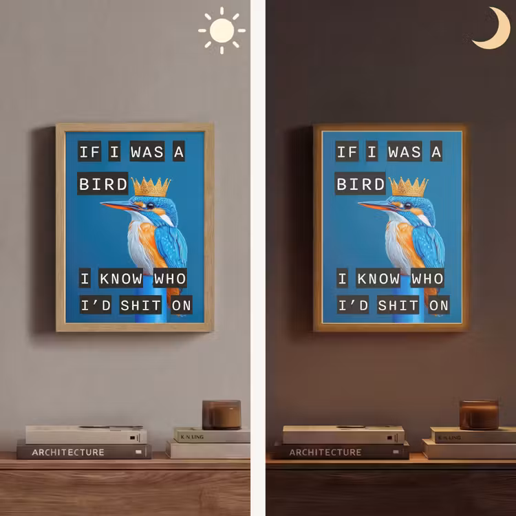 Lightbox - Bird - Decoration - Kingfisher - Blue — 5