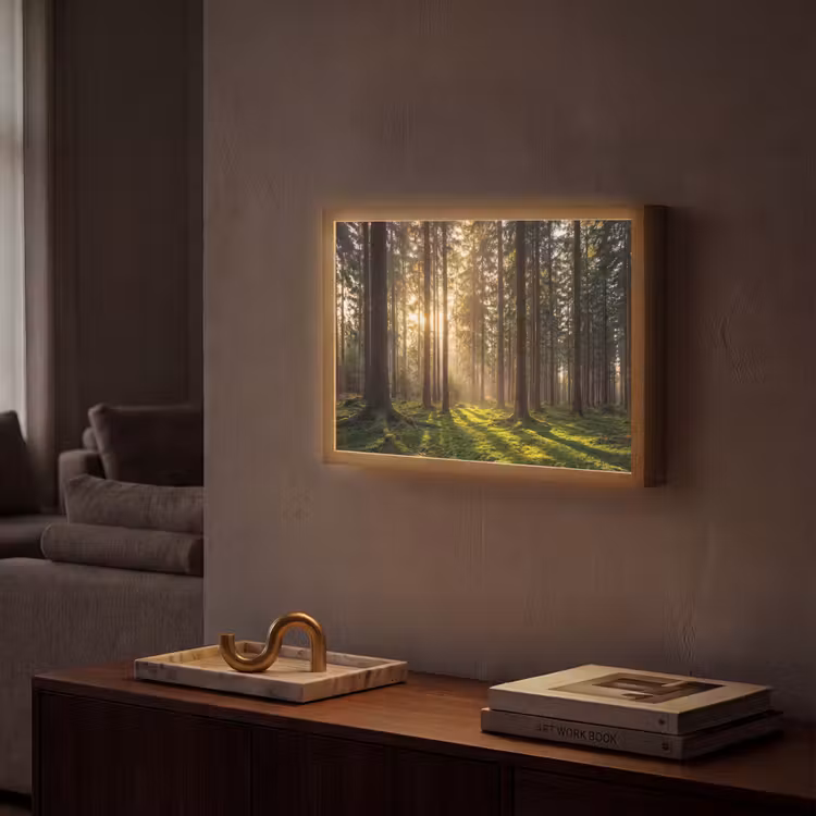 Lightbox - Forest - Grass - Sunlight — 2