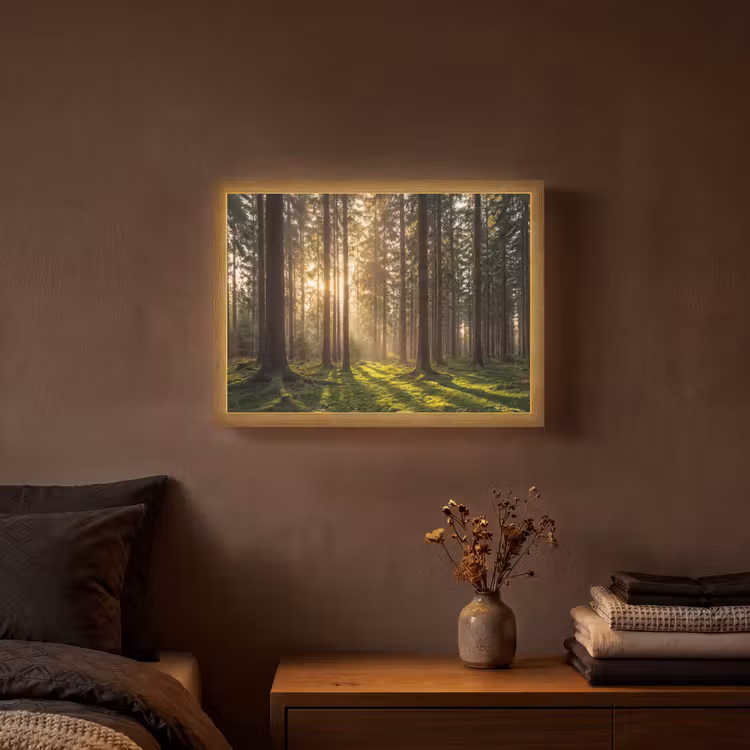 Lightbox - Forest - Grass - Sunlight — 3