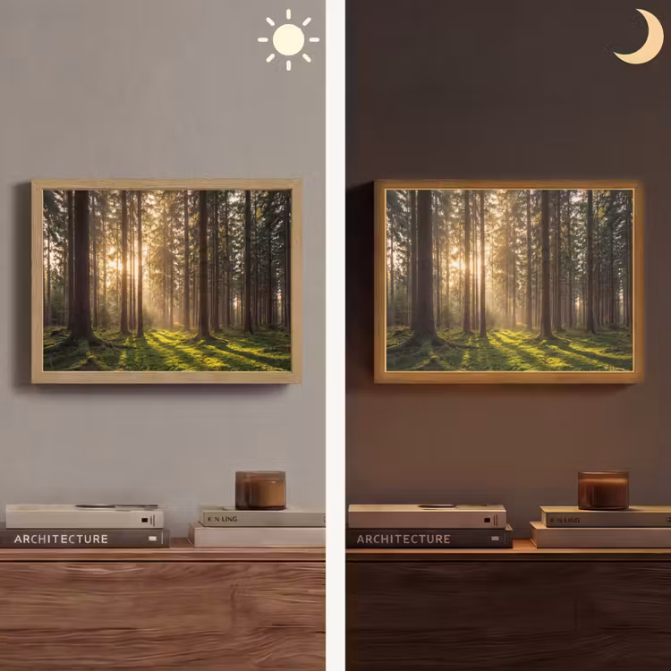 Lightbox - Forest - Grass - Sunlight — 5