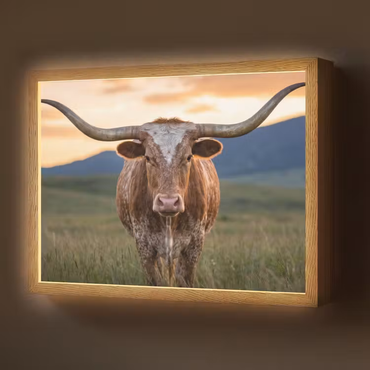 Lightbox - Longhorn - Landscape - Sunset — 1