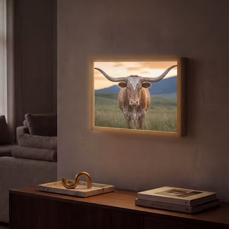 Lightbox - Longhorn - Landscape - Sunset — 2