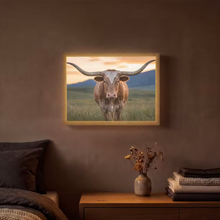 Lightbox - Longhorn - Landscape - Sunset — 3