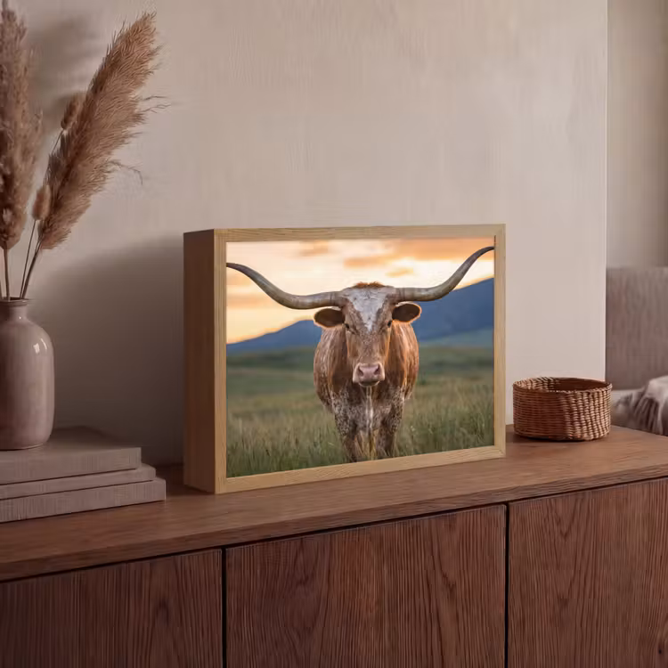 Lightbox - Longhorn - Landscape - Sunset — 4