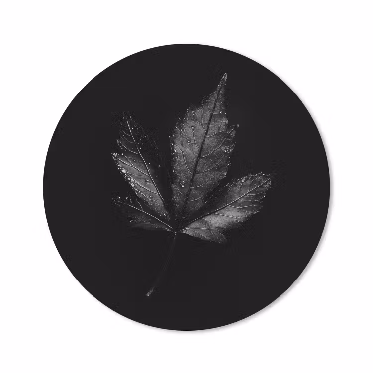 Mouse Pad - Black - Sheet — 1