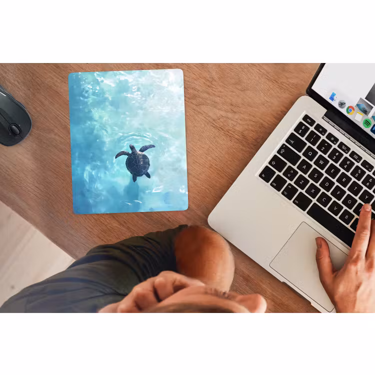 Mouse Pad - Turtle - Sea - Blue - Glare — 2