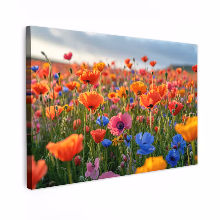 Outdoor Canvas Print - Flower meadow in full bloom — 1