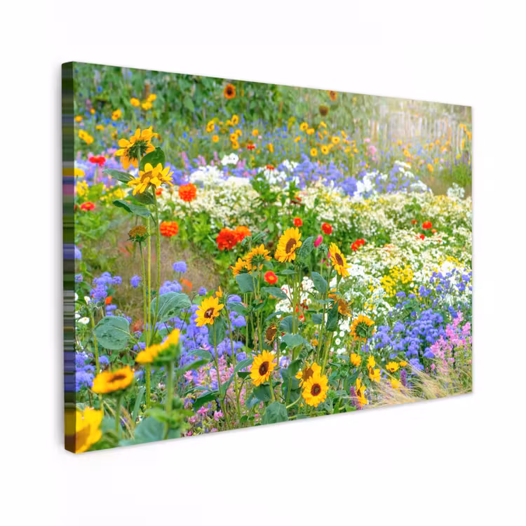 Outdoor Canvas Print - Summer flowers in full bloom — 1