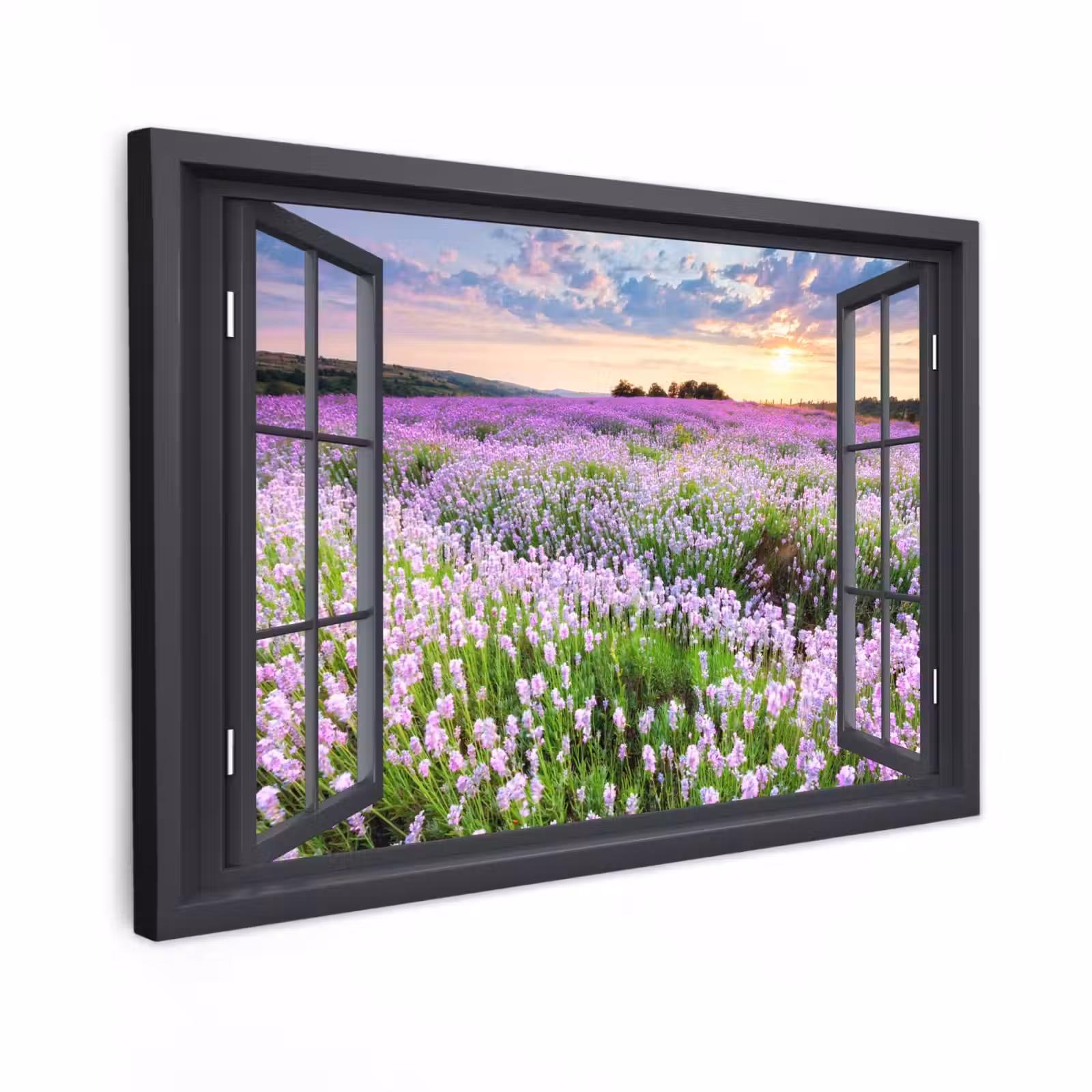 Outdoor Canvas Print - View of Lavender Field at Sunset — 1