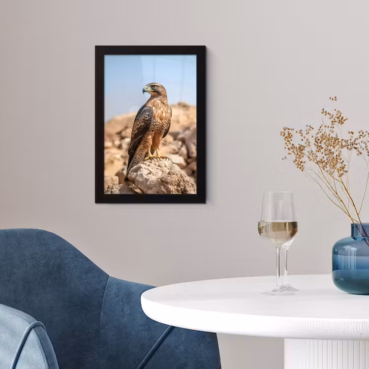 Photo Frame - Falcon - Bird - Rock - Power — 2