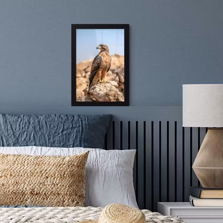 Photo Frame - Falcon - Bird - Rock - Power — 4