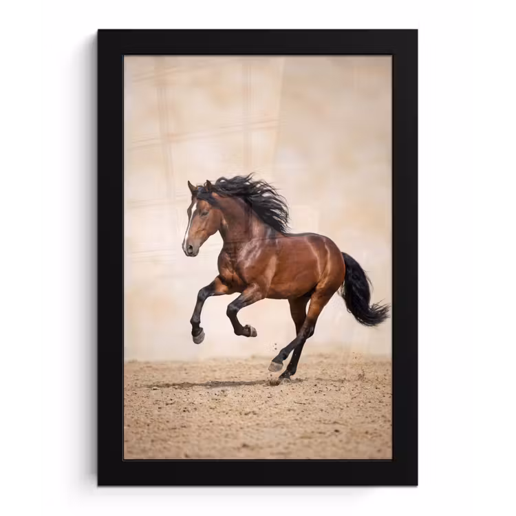 Photo Frame - Horse - Gallop - Energy — 1
