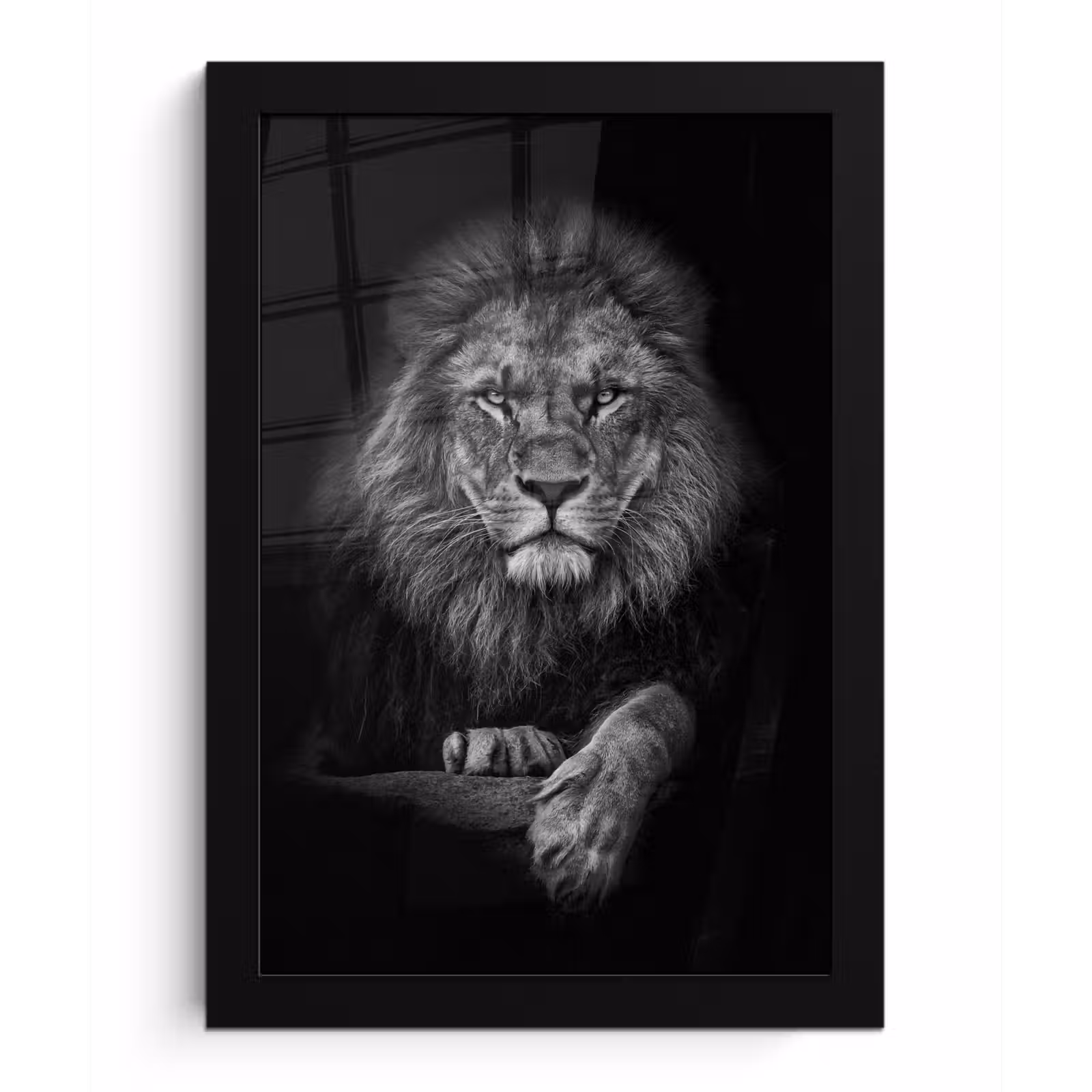 Photo Frame - Lion - Animals - Black - White — 1